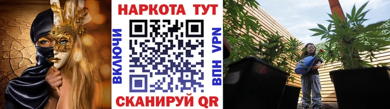 Где продают наркотики Печоры COCAIN Меф мяу мяу Альфа ПВП МАРИХУАНА ГАШ