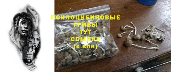 таблы Алексеевка