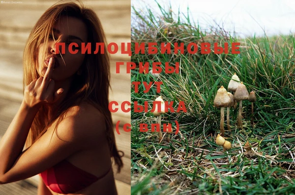 спайс Алексин