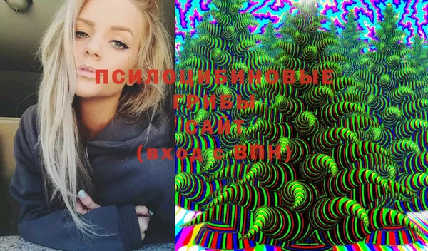 таблы Алексеевка
