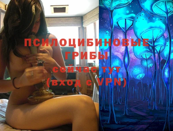 спайс Алексин