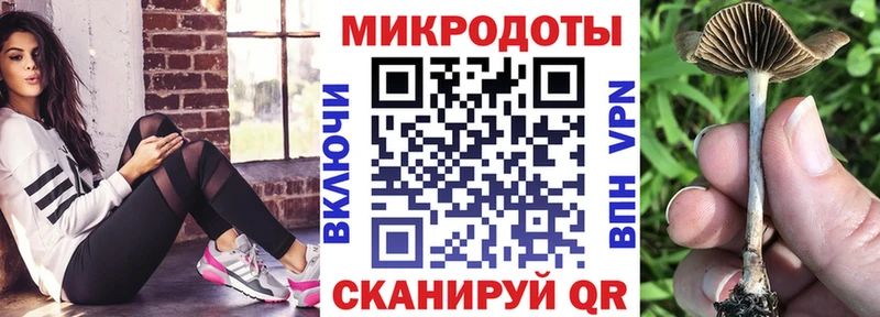 Псилоцибиновые грибы Psilocybe Печоры